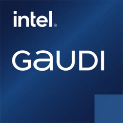 Habana Intel Gaudi 2 96GB HBM2 - HL-225H