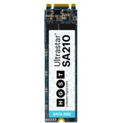 WDC/HGST Ultrastar SA210 120GB M.2 2280 SSD (SATA) - 0TS1653 - HBS3A1912A4M4B1